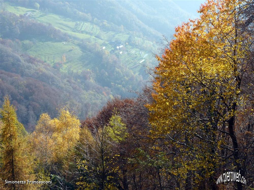 05 Caldi colori d'autunno e un po' di foschia.JPG